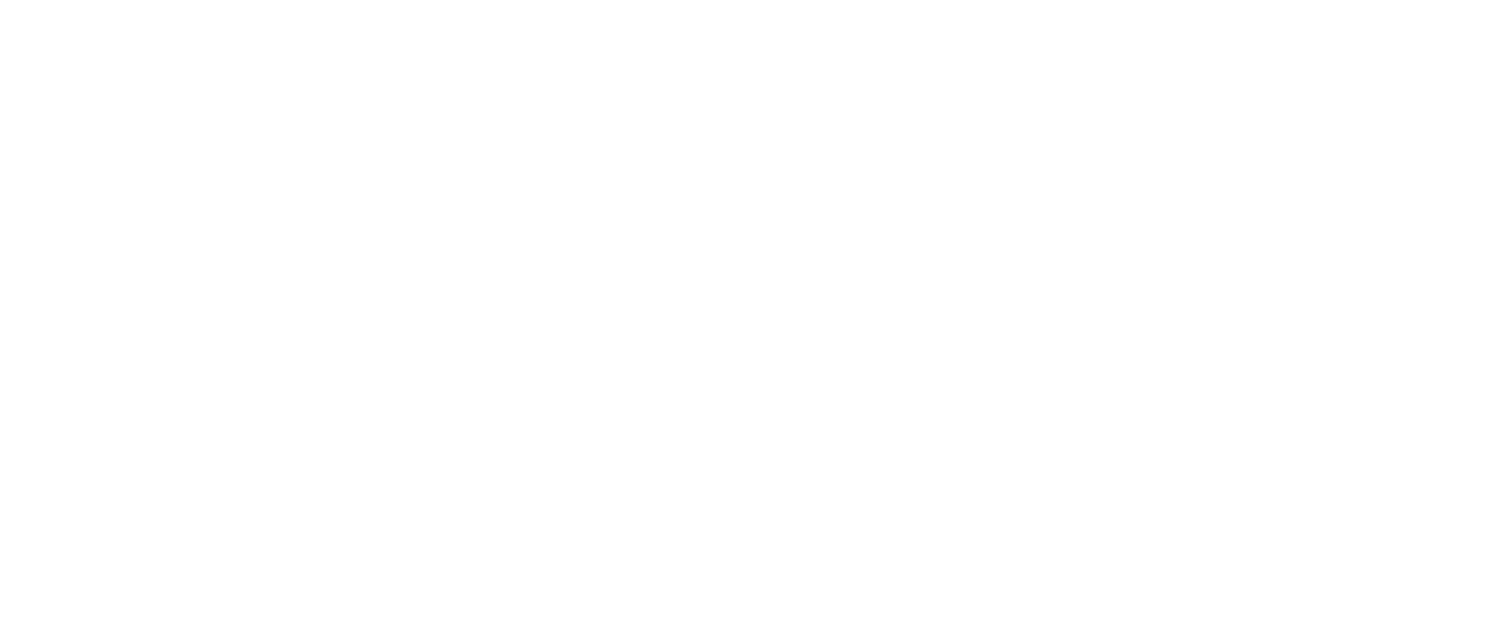 BLUVAX logo